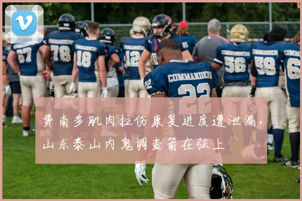 费南多肌肉拉伤康复进度遭泄漏，山东泰山内鬼调查箭在弦上